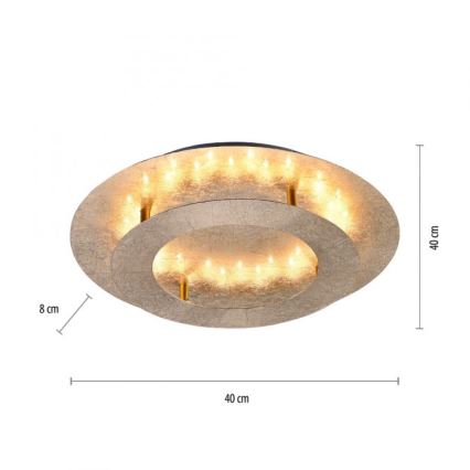 Paul Neuhaus 9620-12 - LED Plafon NEVIS LED/18W/230V złoty