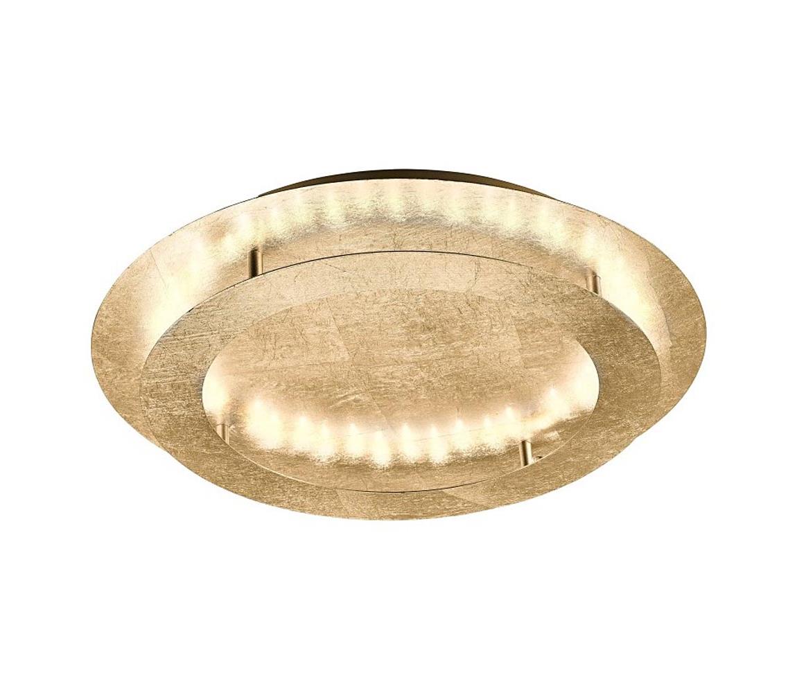 Paul Neuhaus 9621-12 - LED Plafon NEVIS LED/24W/230V