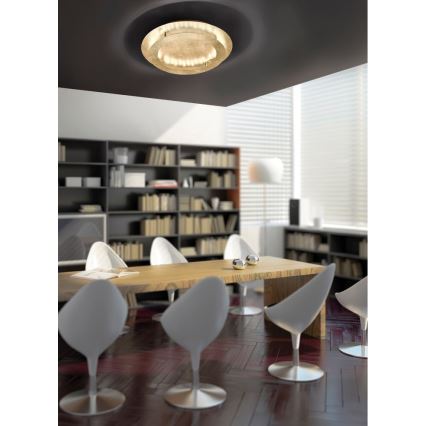 Paul Neuhaus 9621-12 - LED Plafon NEVIS LED/24W/230V