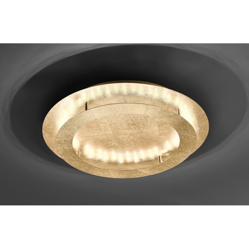 Paul Neuhaus 9621-12 - LED Plafon NEVIS LED/24W/230V