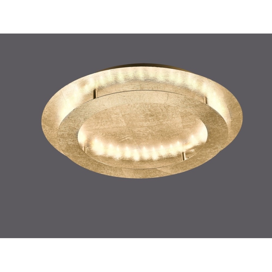 Paul Neuhaus 9621-12 - LED Plafon NEVIS LED/24W/230V