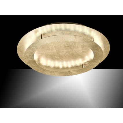 Paul Neuhaus 9621-12 - LED Plafon NEVIS LED/24W/230V