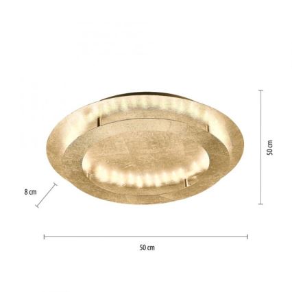 Paul Neuhaus 9621-12 - LED Plafon NEVIS LED/24W/230V