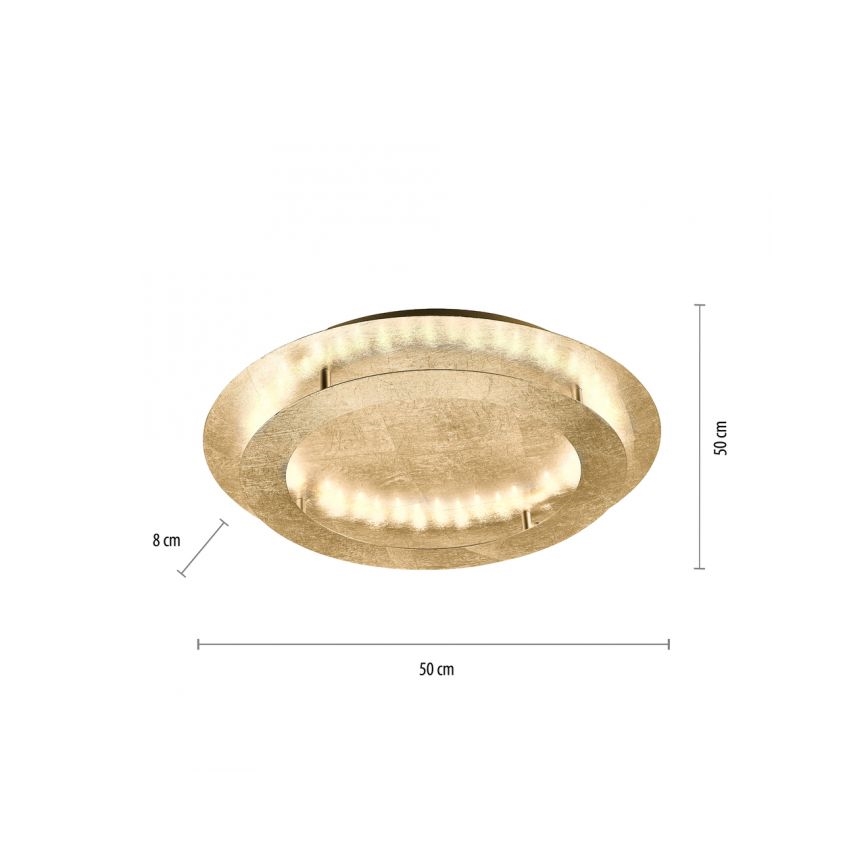 Paul Neuhaus 9621-12 - LED Plafon NEVIS LED/24W/230V