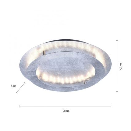 Paul Neuhaus 9621-21 - LED Plafon NEVIS LED/24W/230V