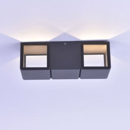 Paul Neuhaus 9658-13 - LED Kinkiet zewnętrzny MARCEL 2xLED/4W/230V IP54