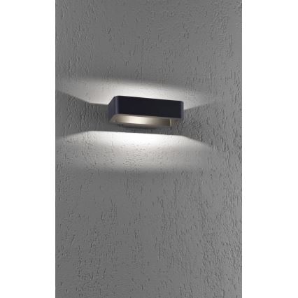 Paul Neuhaus 9668-13 - LED Kinkiet zewnętrzny HENDRIK LED/5,2W/230V IP54