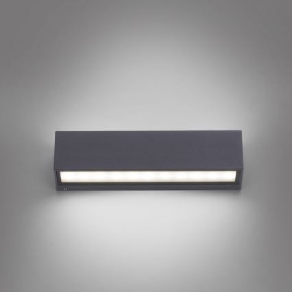 Paul Neuhaus 9675-13 - LED Kinkiet zewnętrzny ROBERT 2xLED/9W/230V IP65