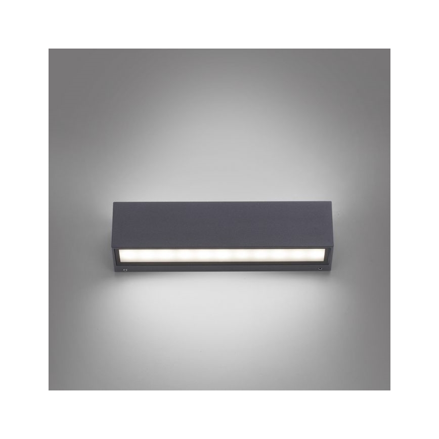 Paul Neuhaus 9675-13 - LED Kinkiet zewnętrzny ROBERT 2xLED/9W/230V IP65