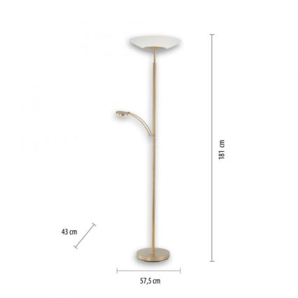 Paul Neuhaus - LED Ściemniana lampa ALFRED 1xLED/28W/230V+1xLED/4W/230V