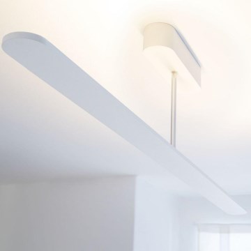 Paulmann 70497 - LED/40W IP44 Plafon łazienkowy LUCIO 230V