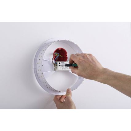 Paulmann 70720 - LED/3,5W Kinkiet DECOBEAM 230V