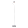 Paulmann 70920 - LED/7,5W Lampa stojąca ściemnialna RAMOS 230V biały/błyszczący chrom
