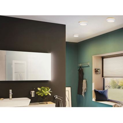 Paulmann 78923 - LED/13W IP44 Ściemnialny plafon łazienkowy AVIAR 230V