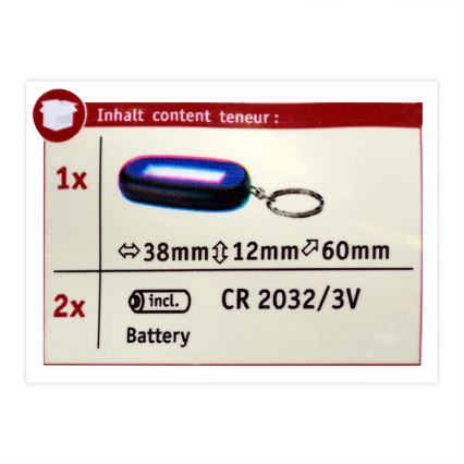 Paulmann 78968 - LED/1W Brelok do kluczy MINI KEY