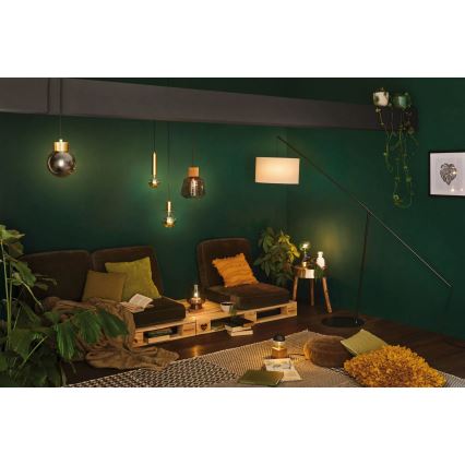 Paulmann 79736 - Lampa stołowa IBEN 1xE27/20W, 230V, przydymiona