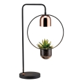 Paulmann 79746 - 1xGU10/20W Lampa stołowa FANJA 230V przydymiona