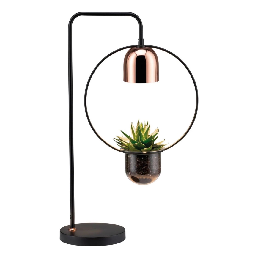 Paulmann 79746 - 1xGU10/20W Lampa stołowa FANJA 230V przydymiona