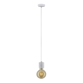 Paulmann 79750 - 1xE27/20W Żyrandol na lince NORDIN 230V
