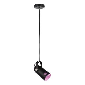Paulmann 79766 - 1xE27/15W Lampa wisząca na lince LAVEA 230V czarna