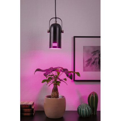 Paulmann 79766 – Lampa wisząca LAVEA LED RGBW 1xE27/12W, 230V, czarna