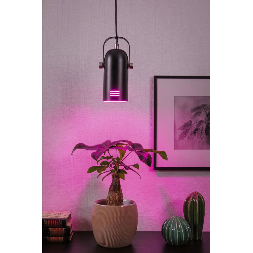 Paulmann 79766 – Lampa wisząca LAVEA LED RGBW 1xE27/9W, 230V, czarna