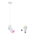 Paulmann 79767 - LED RGBW 1xE27/12W żyrandol na linkach LAVEA 230 V biały