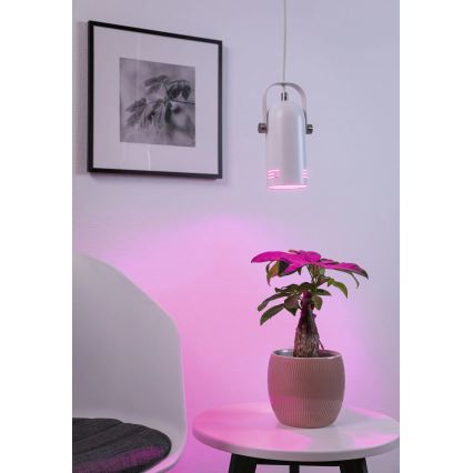 Paulmann 79767 - LED RGBW 1xE27/9W żyrandol na linkach LAVEA 230 V biały