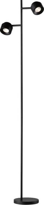 Paulmann 79775 - 2xLED/3W Ściemnialna lampa podłogowa PURIK PANE 230V