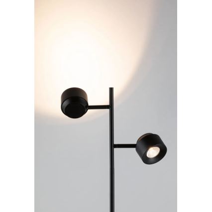 Paulmann 79775 - 2xLED/3W Ściemnialna lampa podłogowa PURIK PANE 230V