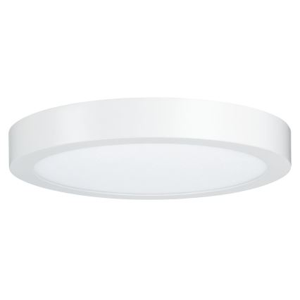 Paulmann 79799 - LED/19W Lampa sufitowa CARPO 230V 2300/2500/3000K