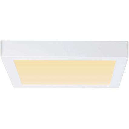 Paulmann 79801 - LED/13W Plafon CARPO 230V 2300/2500/3000K