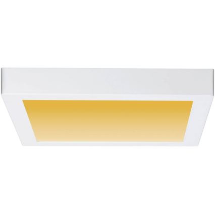 Paulmann 79801 - LED/13W Plafon CARPO 230V 2300/2500/3000K