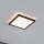 Paulmann 79920 - LED/11,2W ściemnialny panel ATRIA 230V 3000K 19x19 cm czarny
