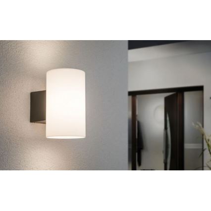 Paulmann 94186 - 1xE27/15W IP54 Kinkiet zewnętrzny TUBE 230V