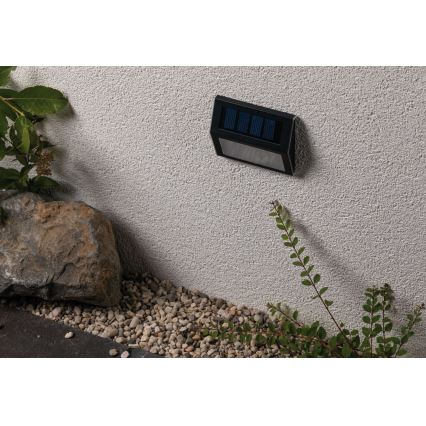 Paulmann 94234 - LED/0,05W IP44 Zewnętrzna lampa solarna z czujnikiem DAYTON 1,2V 400 mAh