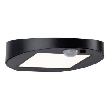 Paulmann 94246 - LED/1,2W IP44 Zewnętrzna lampa solarna z czujnikiem RYSE 3,7V 1800 mAh