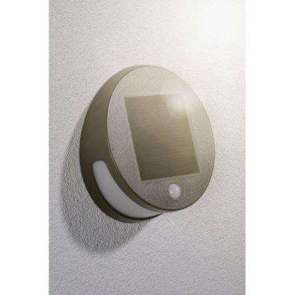 Paulmann 94265 - LED/3W IP44 Zewnętrzne oświetlenie solarne z czujnikiem HELENA 3,7V 1800 mAh