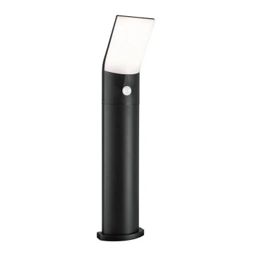 Paulmann 94403 - Lampa zewnętrzna LED/10W IP44 z czujnikiem ADYA 230V