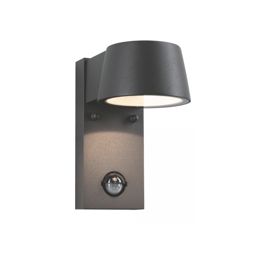 Paulmann 94453 - LED/6W IP44 Kinkiet zewnętrzny z czujnikiem CAPEA 230V