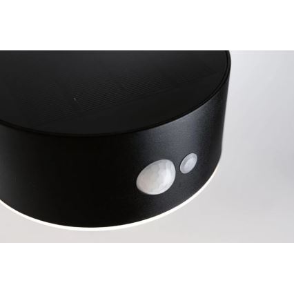 Paulmann 94570 - LED/5,5W IP44 Solarna lampa ścienna z czujnikiem EILEEN 3,7V 2000 mAh