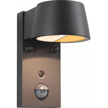 Paulmann 94714 - LED/6W IP44 Kinkiet zewnętrzny z czujnikiem CAPERA 230V 2200/3000K