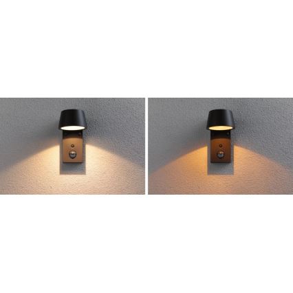 Paulmann 94714 - LED/6W IP44 Kinkiet zewnętrzny z czujnikiem CAPERA 230V 2200/3000K