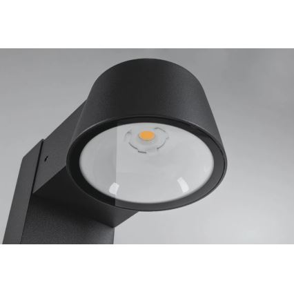 Paulmann 94715 - LED/6W IP44 Lampa zewnętrzna CAPERA 230V