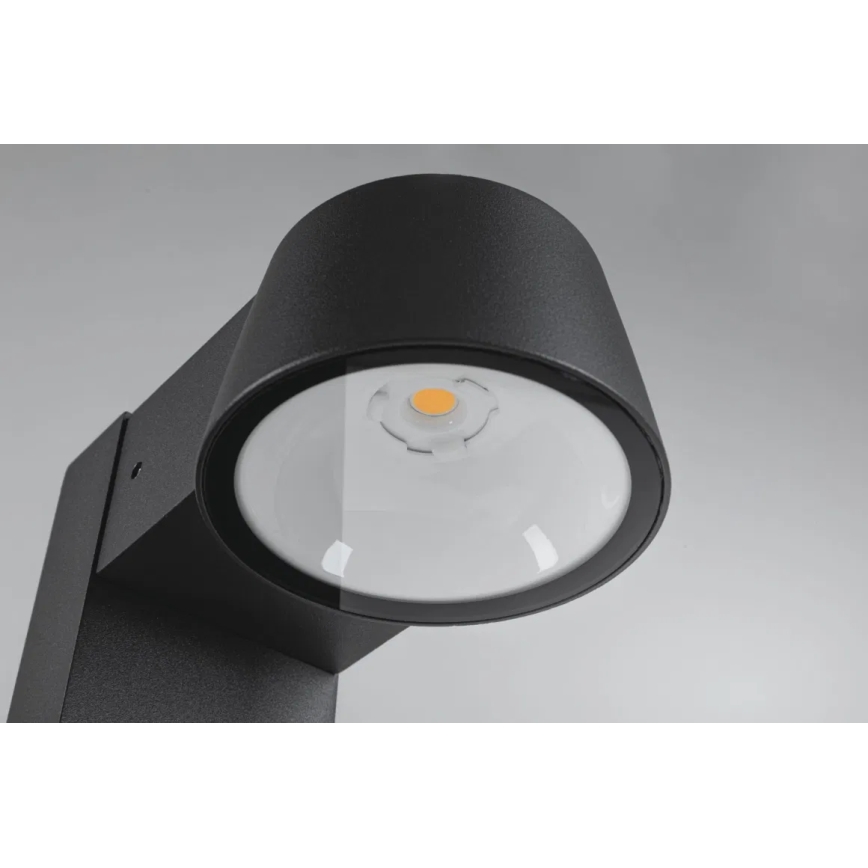 Paulmann 94715 - LED/6W IP44 Lampa zewnętrzna CAPERA 230V