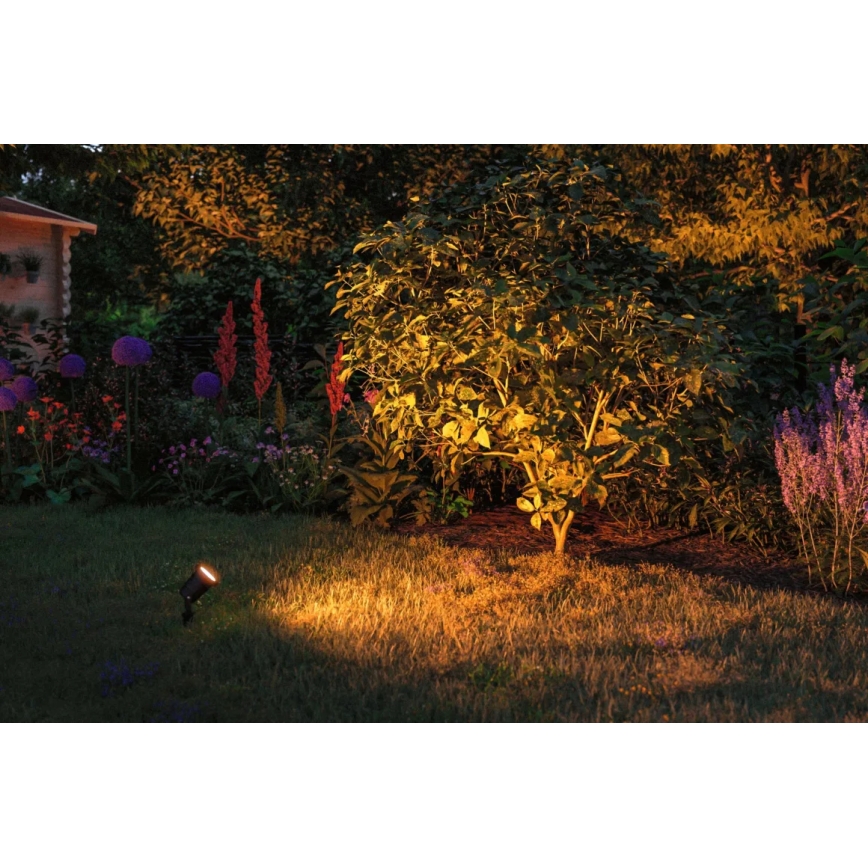 Paulmann 94731 - LED/4,3W IP65 Lampa zewnętrzna SPOT 230V