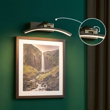 Paulmann 95559 - LED/6W Lampa do obrazów BENTO 230V 30 cm mosiądz