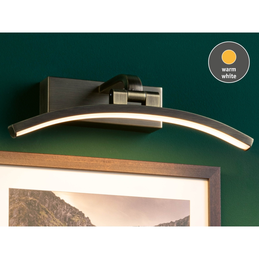 Paulmann 95559 - LED/6W Lampa do obrazów BENTO 230V 30 cm mosiądz