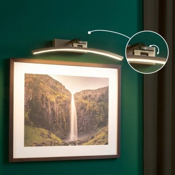 Paulmann 95560 - LED/8,5W Lampa do obrazów BENTO 230V 40 cm mosiądz