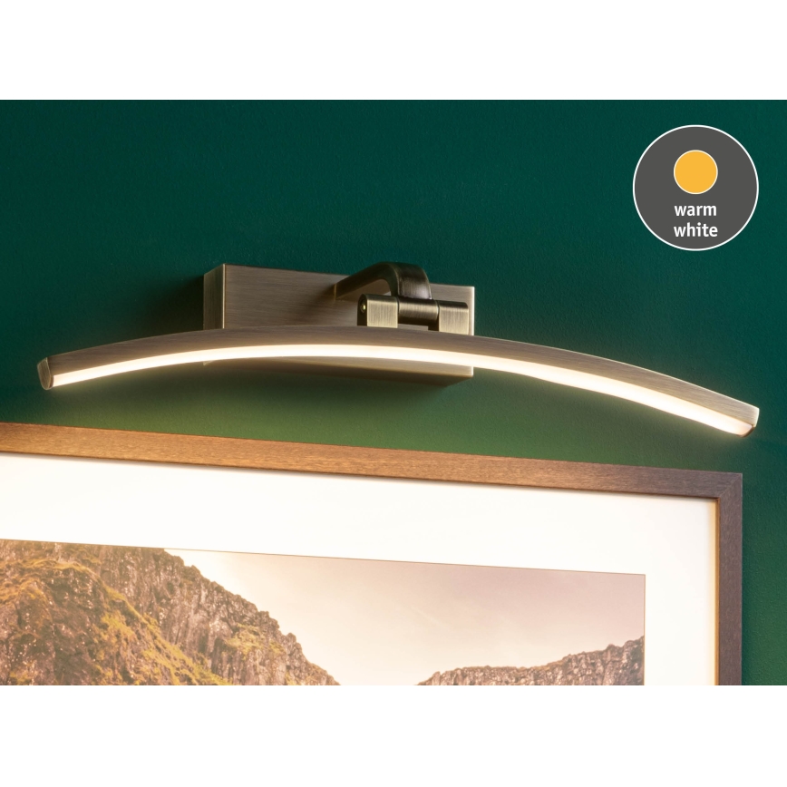 Paulmann 95560 - LED/8,5W Lampa do obrazów BENTO 230V 40 cm mosiądz
